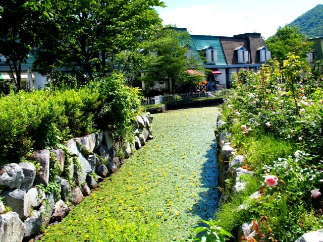 2013071103.JPG