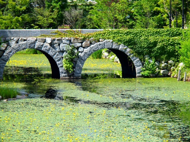 2013071104.JPG