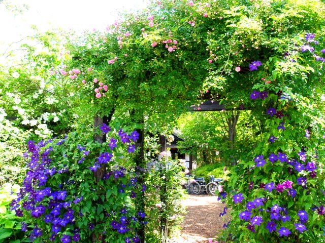 2013071105.JPG