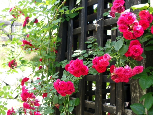 2013071106.JPG