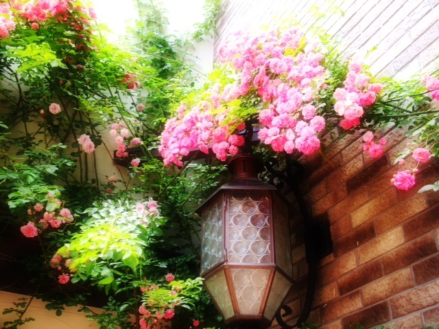 2013071107.JPG