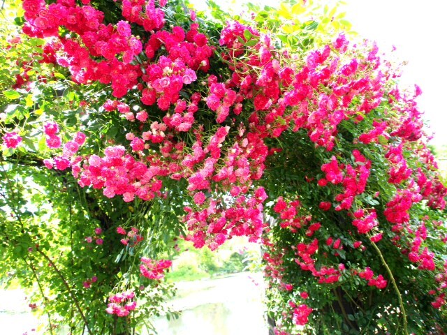 2013071108.JPG