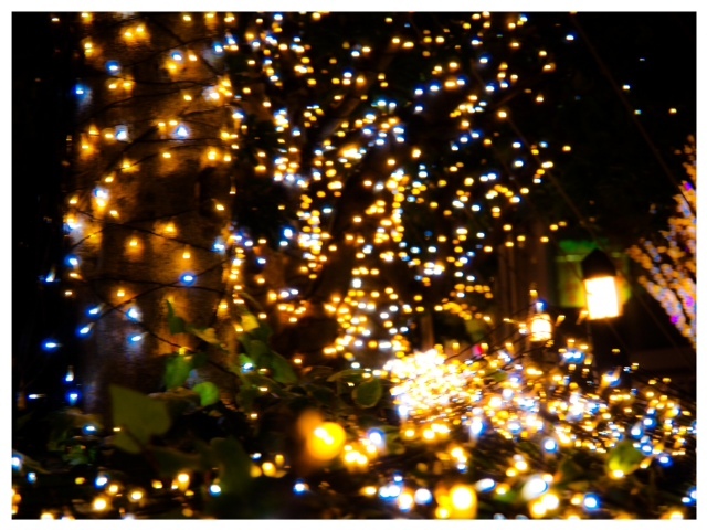 2013121202.JPG