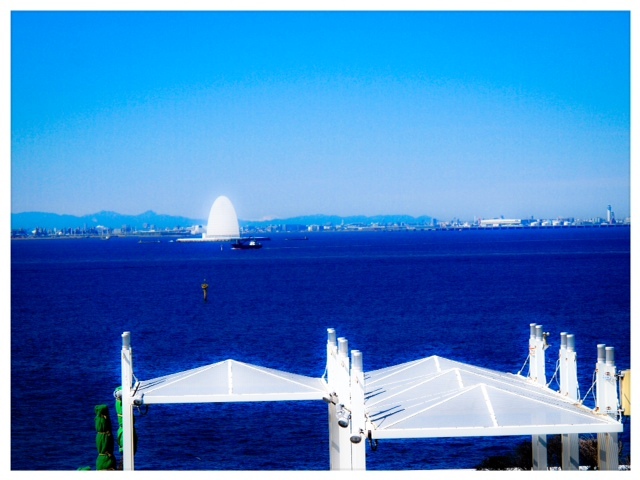 2014.031104.JPG