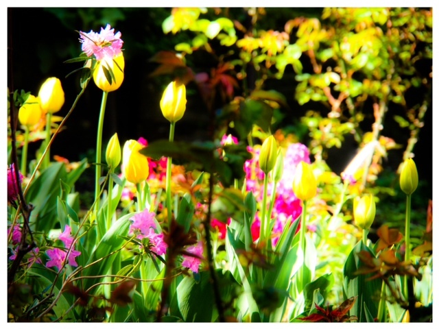 2014.0412002.jpeg