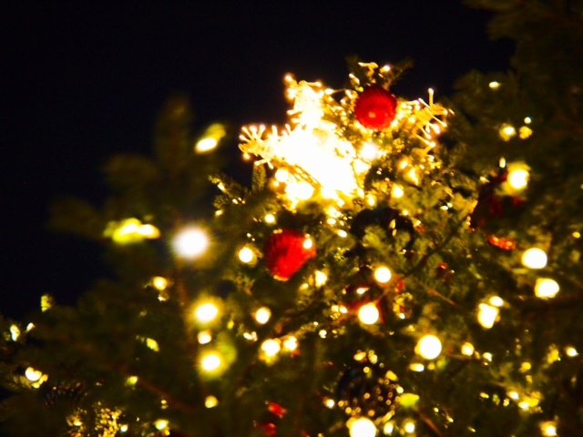 2014.120904.JPG