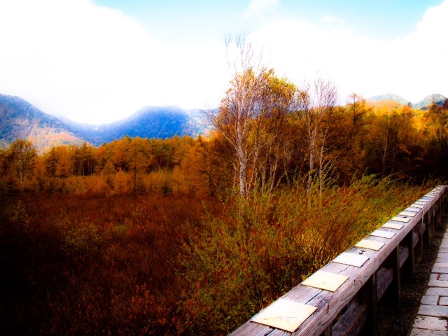 2015.101504.JPG