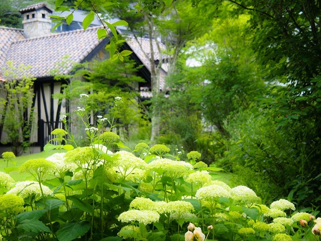 20150703011.JPG