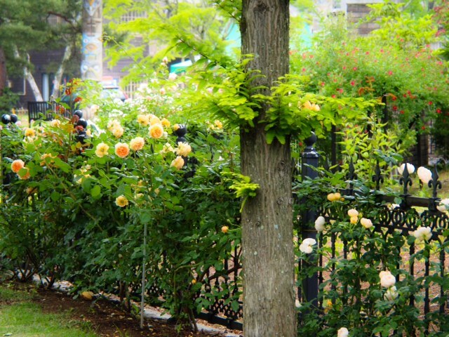 2015070303.JPG
