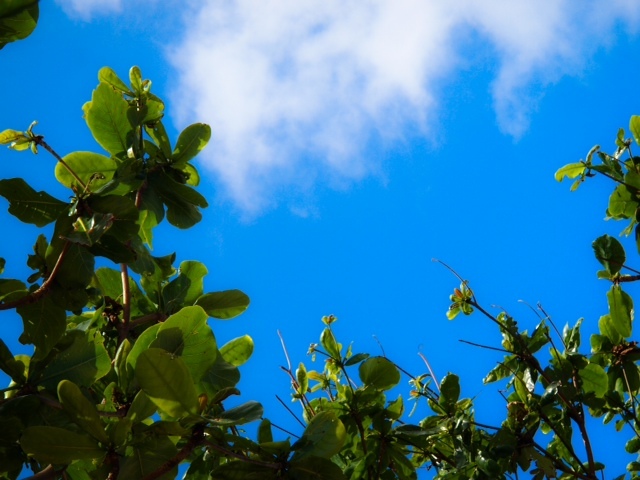 2015091101.JPG