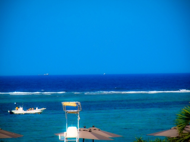 2015091104.JPG