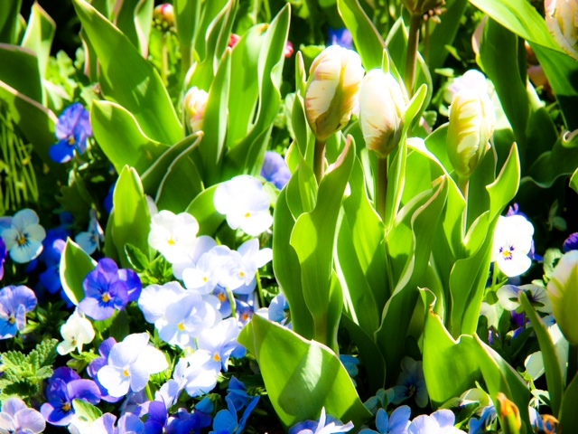 20160304001.JPG