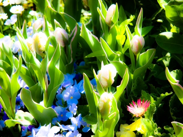 20160304004.JPG