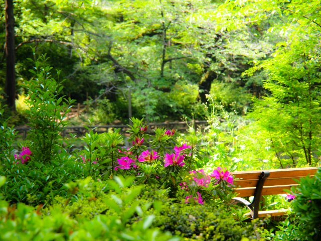 2016042804 _02.JPG