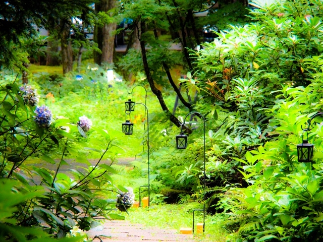 2017070404.jpg
