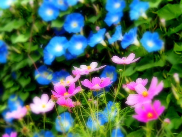 n07_4.JPG