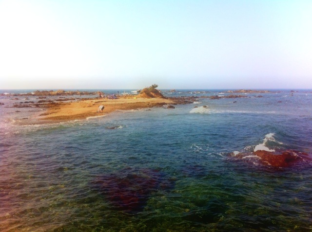 n09_1.JPG