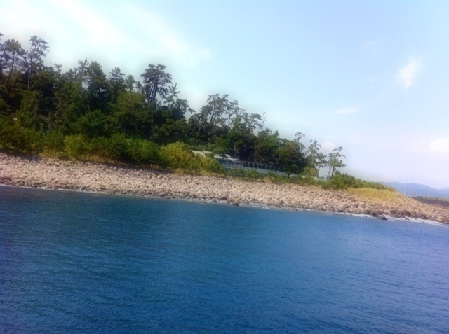 n10_2.JPG
