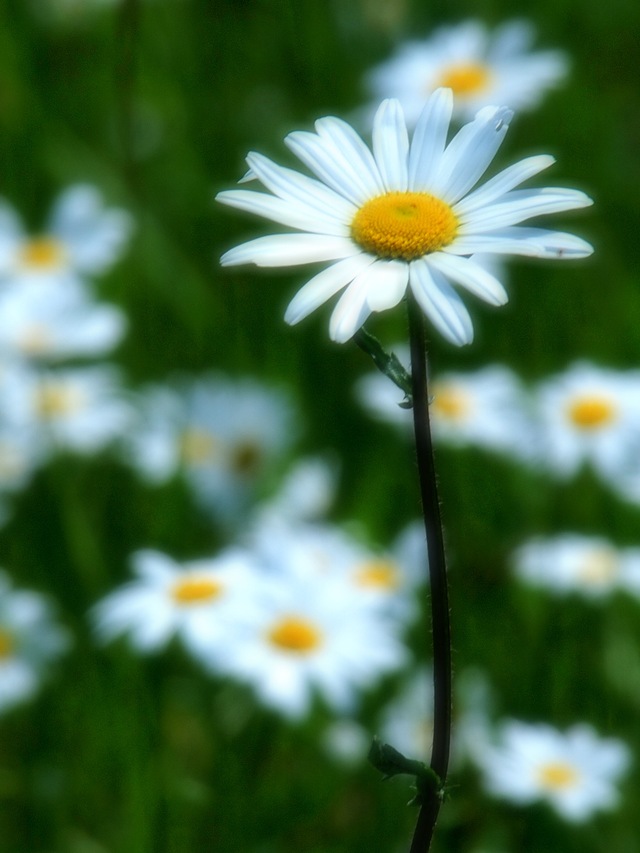 n12_3.JPG
