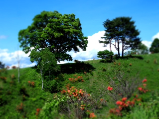 n12_4.JPG