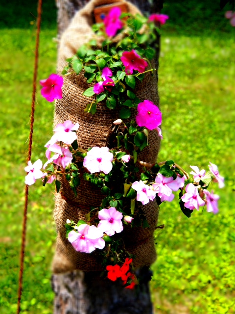 n13_2.JPG