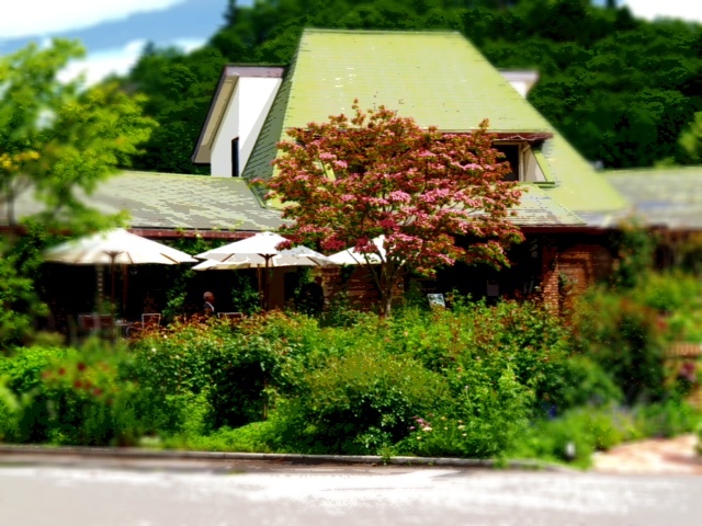 n14_1.JPG